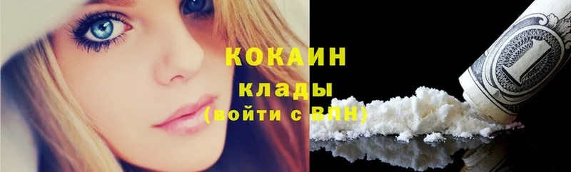 mega как войти  Змеиногорск  Cocaine FishScale  как найти закладки 