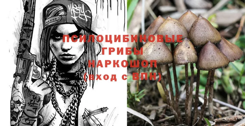 хочу наркоту  Змеиногорск  Псилоцибиновые грибы Magic Shrooms 